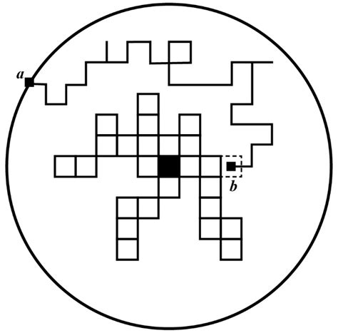 Dynamic Mechanism of Dendrite Formation in Zhoukoudian, China
