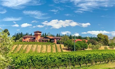 Things to do in Blenheim 2024 | Pelago by Singapore Airlines