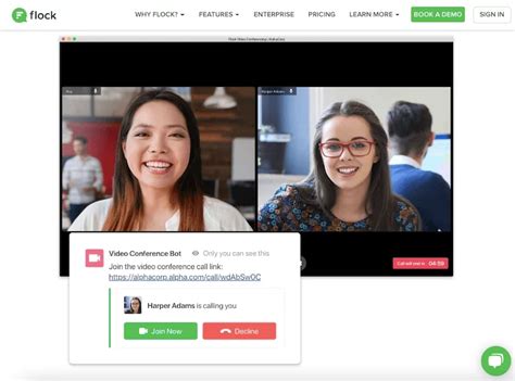 Flock Features 的图像结果