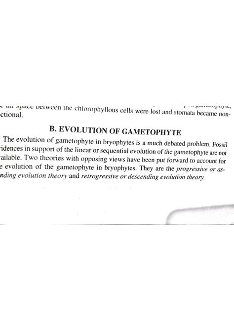Evolution of gametophyte - Bryology, Pteridology, Gymnosperms ...