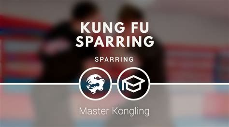 Image result for Kung Fu Tutorial