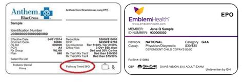 Image result for HMO Insurance Card Examples