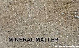 mineral matter 的图像结果