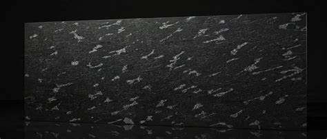 Fish Black — Shree Shivay Granito