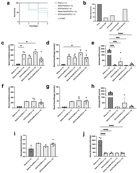 Effect of Sodium Thiosulfate Pre-Treatment on Renal Ischemia ...