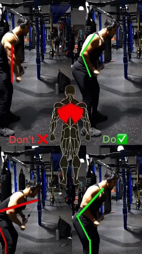 Image result for How to Develop Back Muscles