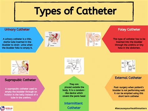 Types Of Pa Catheters at Frank Hudson blog