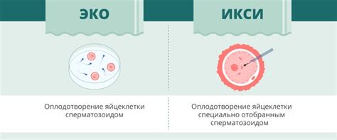 ЭКО и ИКСИ, инсеминация - в чем разница - Ника Спринг | Клиника «Ника ...