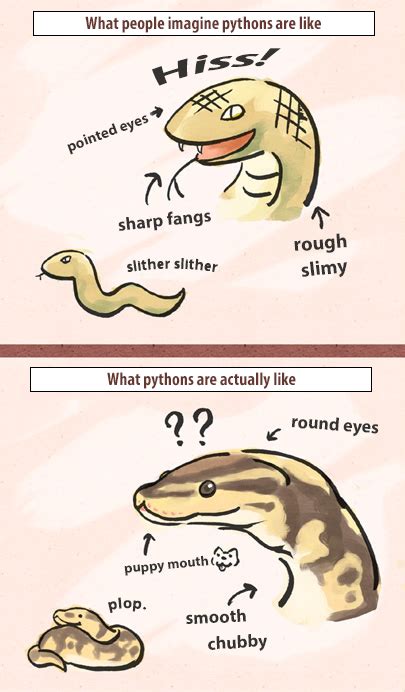 Image result for Python's Constricting Animals