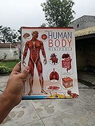 Human Body Minipedia for Kids Age 5-15 years [Paperback] Dreamland ...