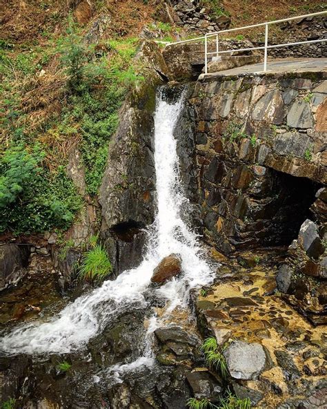 PERA DA SERRA - TURISMO NO ESPACO RURAL (Lousa) - Specialty B&B Reviews ...