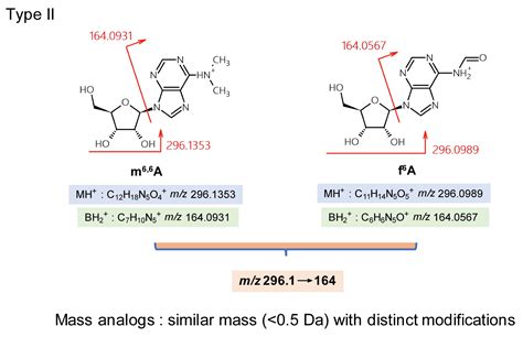 Potential Misidentification of Natural Isomers and Mass-Analogs of ...