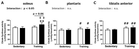 Effects of Royal Jelly Administration on Endurance Training-Induced ...