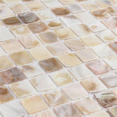 Affinity Tile Conchella Square Natural 12-in x 12-in Glossy Natural ...