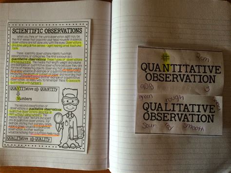 Quantitative Observation Examples