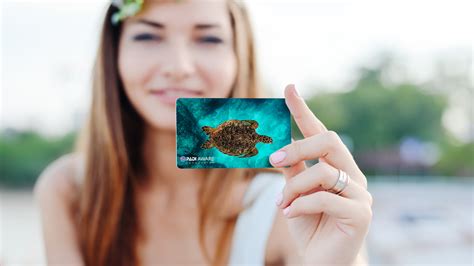 PADI Certification Card FAQs | Replace Lost PADI Card