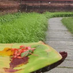 Sree Valayanad Devi Temple - Hindu temple - Kozhikode - Kerala | Yappe.in