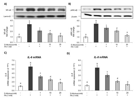 D-Allulose Reduces Hypertrophy and Endoplasmic Reticulum Stress Induced ...