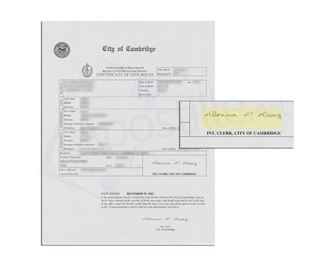 Lowell City Hall Birth Certificate at Jack Whitaker blog