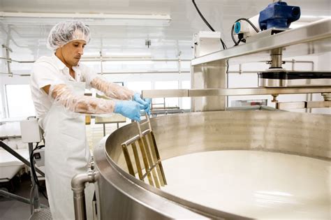 Image result for How to Make Processed Cheese