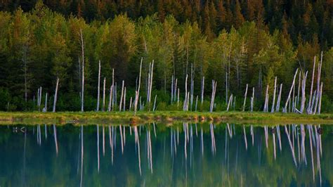 Image result for HTML CSS Layout