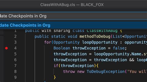 Image result for Trailhead Example Apex Class in vs Code