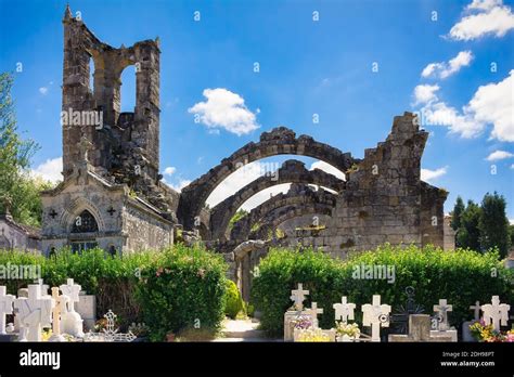 Christian Culture 的图像结果