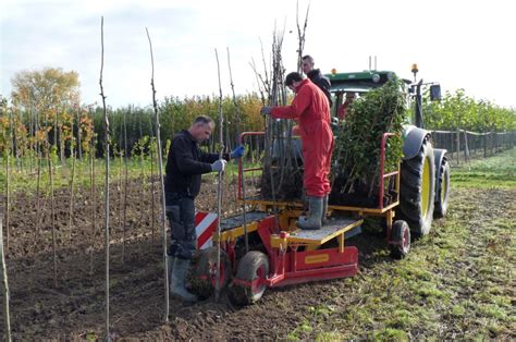 Image result for Planting Machine