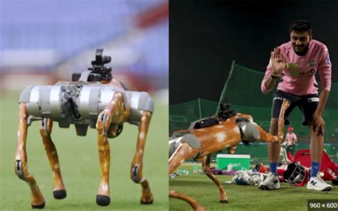 Robot Dog at IPL 2025 | Watch Viral Video from Stadium