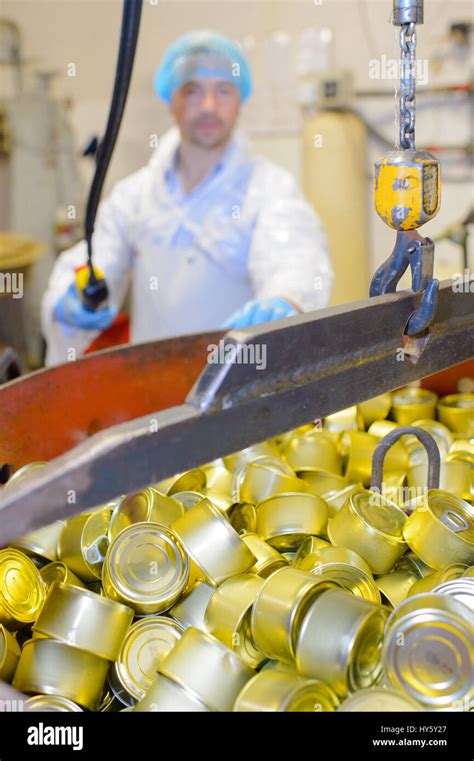 Food Processing Factory 的图像结果