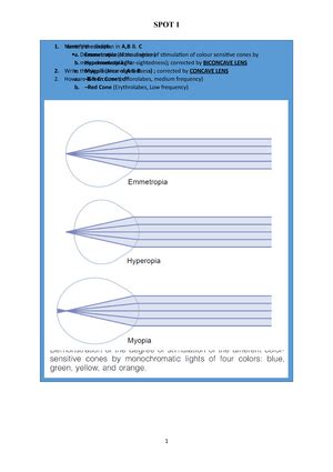 A Guide to Common Oral Lesions 2003 - A GUIDE TO COMMON ORAL LESIONS DR ...