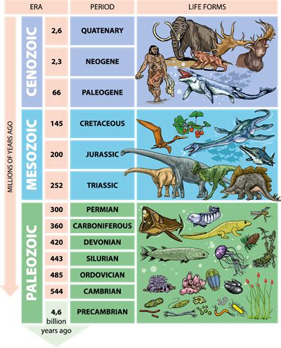 The Birth of Earth and Geological Ages. — lesson. Social Science, Class 9.