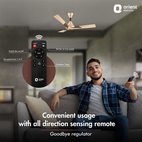 Buy Wendy BLDC Remote Ceiling Fan | 3-Year Warranty Online in India ...