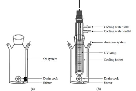 H2O2 Reactor 的图像结果