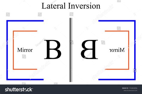 Image result for Lateral Inversion Experiment