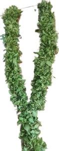 Gene NATURAL TULSI MALA FOR TEMPLE IN ONE AND 2 KG NATURAL TULSI ...