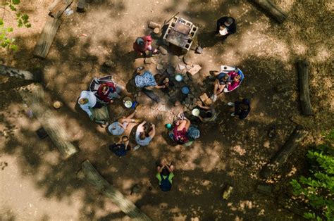 Image result for Springfield IL College Life