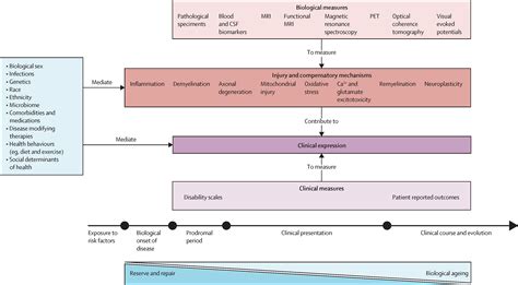 Multiple sclerosis progression: time for a new mechanism-driven framework - The Lancet Neurology