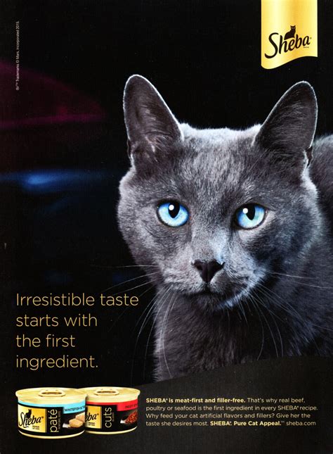 Sheba Cat Food Advert