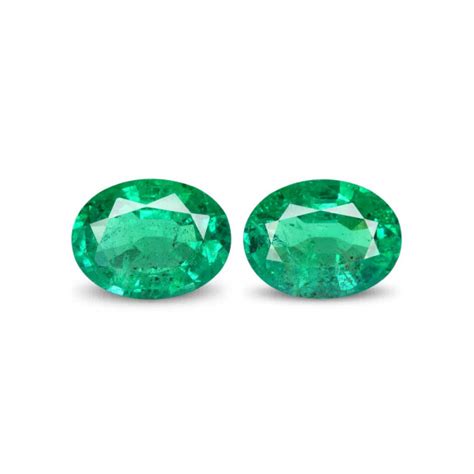 Image result for Emerald Back Python