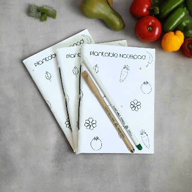 Eco-Friendly Seed Paper Notepads: Best for Writing N Gifting – DEVRAAJ ...