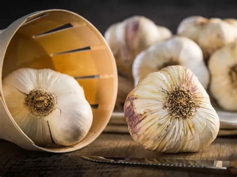 Want to keep fungal infections at bay this Monsoon? Discover these 8 ...