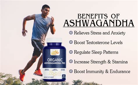 FITNESS VEDA Ashwagandha Capsules With Organic Ashwagandha Extract ...
