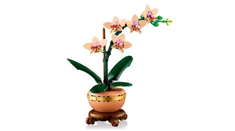 LEGO Botanicals Mini Orchid Plant Gift 10343 Botanical Set – lego ...