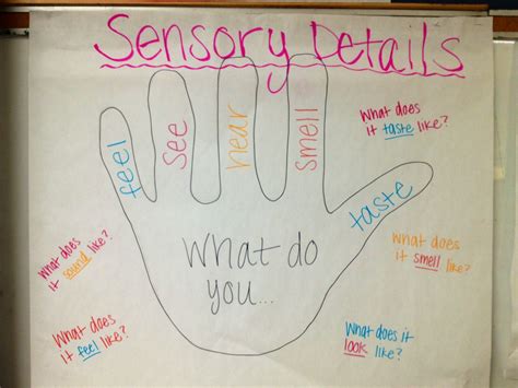 What Is Sensory Details