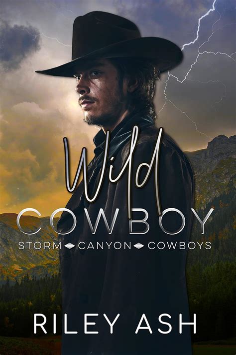 Wild Cowboy: A Secret Baby Romance (Storm Canyon Cowboys Book 3) eBook ...