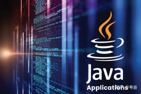 Active Java 的图像结果