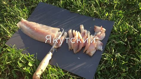 Якутский омуль холодного копчения - YouTube