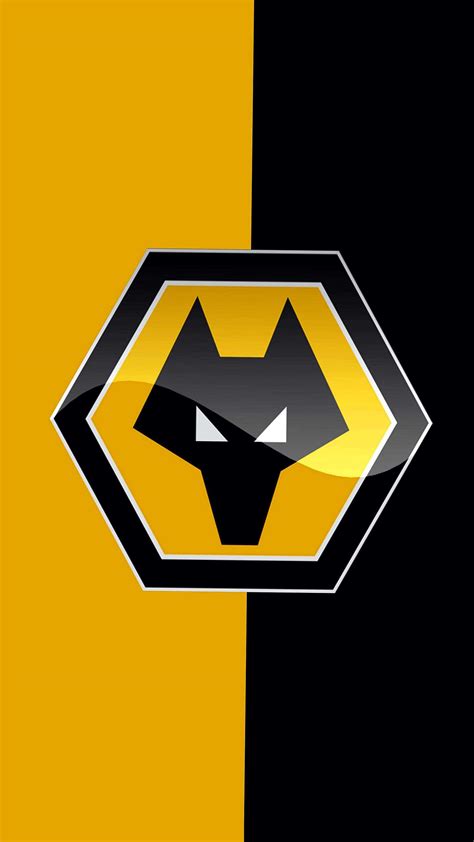 Image result for Wolves Footballl