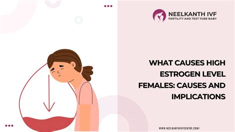 What Causes High Estrogen Levels